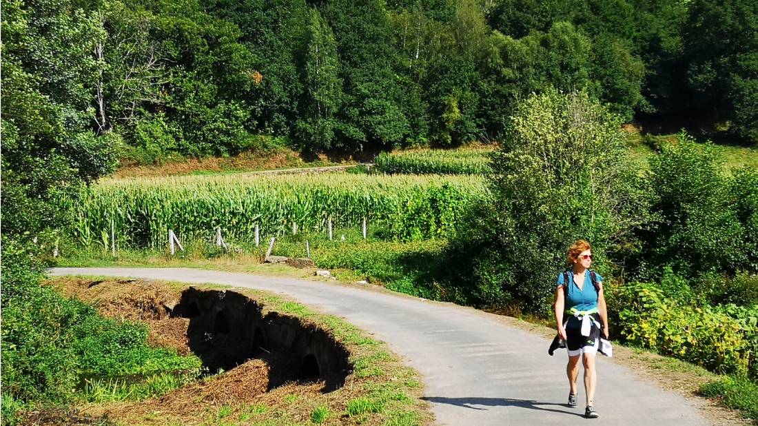 Idyllic walking along the Camino Sanabres in Spain