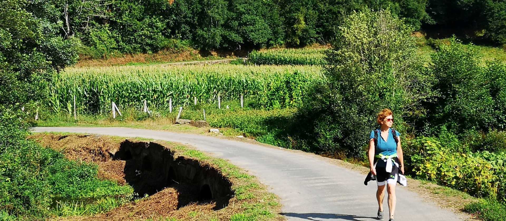 Idyllic walking along the Camino Sanabres in Spain