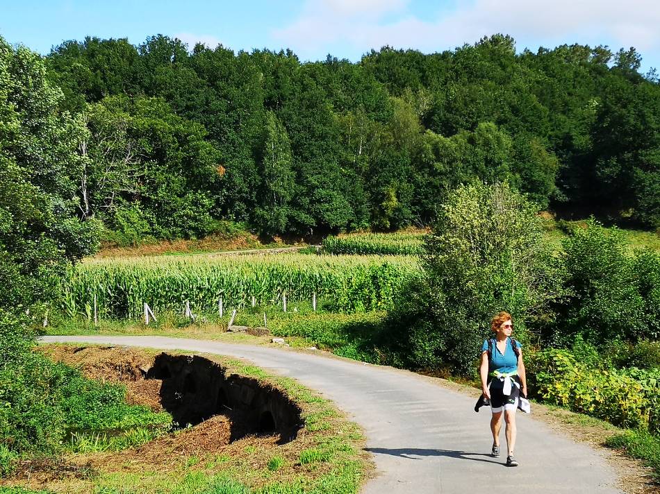 Idyllic walking along the Camino Sanabres in Spain