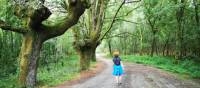 Peaceful walking makes for a meditative experience along the Camino Sanabres