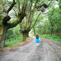 Peaceful walking makes for a meditative experience along the Camino Sanabres