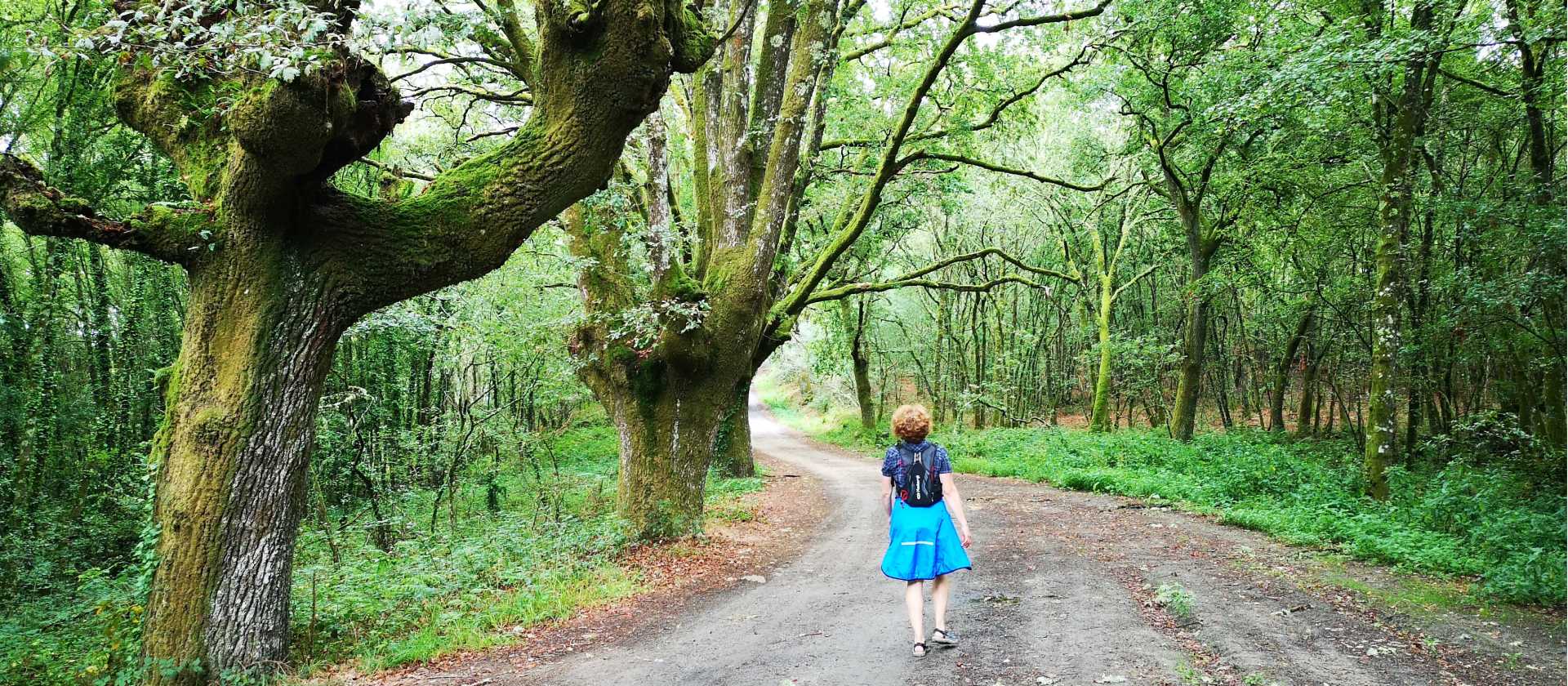 Peaceful walking makes for a meditative experience along the Camino Sanabres