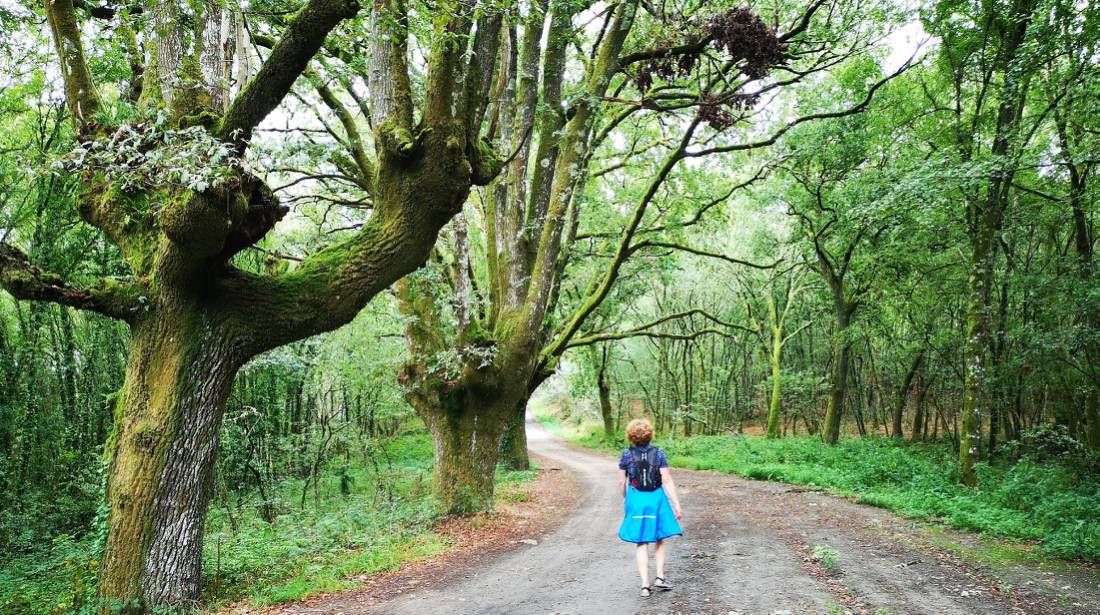 Peaceful walking makes for a meditative experience along the Camino Sanabres