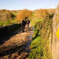 Walking along the Camino