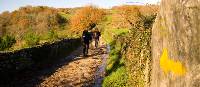 Walking along the Camino