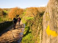 Walking along the Camino