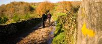 Walking along the Camino