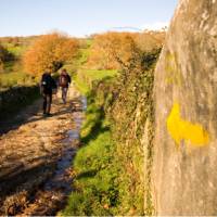 Walking along the Camino