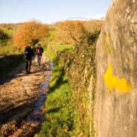 Walking along the Camino