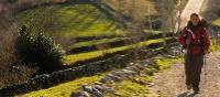 Walking the Camino de Santiago