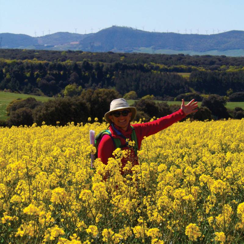 Hero image
