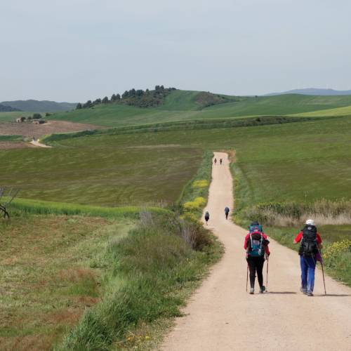 Exploring open fields along the Camino towards Los Arcos