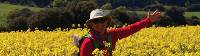 Exploring lush open flower fields heading towards Estella |  <i>Edwina Parsons</i>