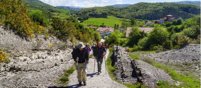 Pilgrims crossing the Pyrenees near Roncesvalles | <i>Gesine Cheung</i>