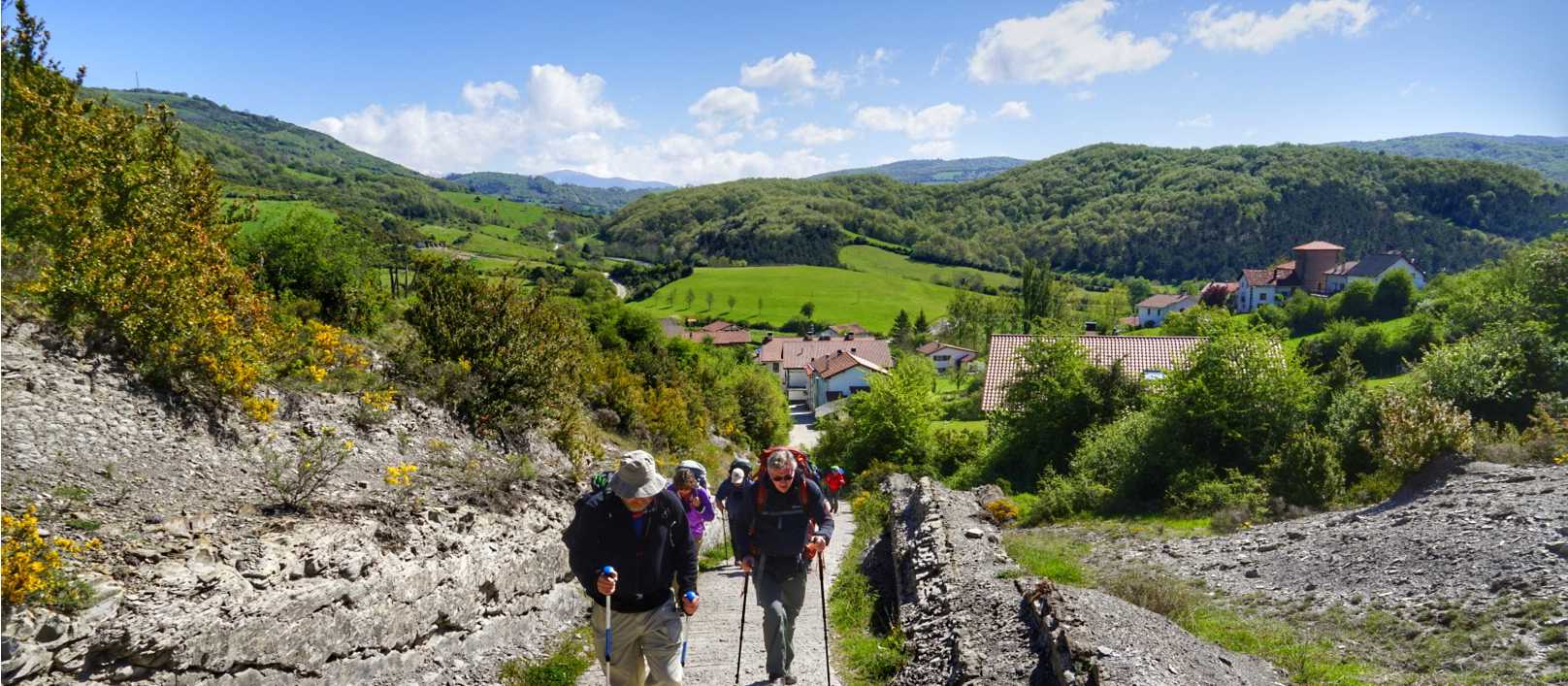 Pilgrims crossing the Pyrenees near Roncesvalles | Gesine Cheung