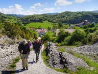 Pilgrims crossing the Pyrenees near Roncesvalles |  <i>Gesine Cheung</i>