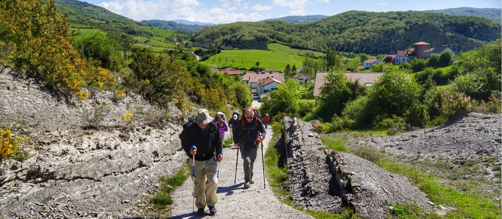 Pilgrims crossing the Pyrenees near Roncesvalles | Gesine Cheung