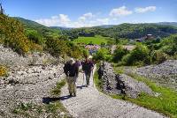 Pilgrims crossing the Pyrenees near Roncesvalles |  <i>Gesine Cheung</i>