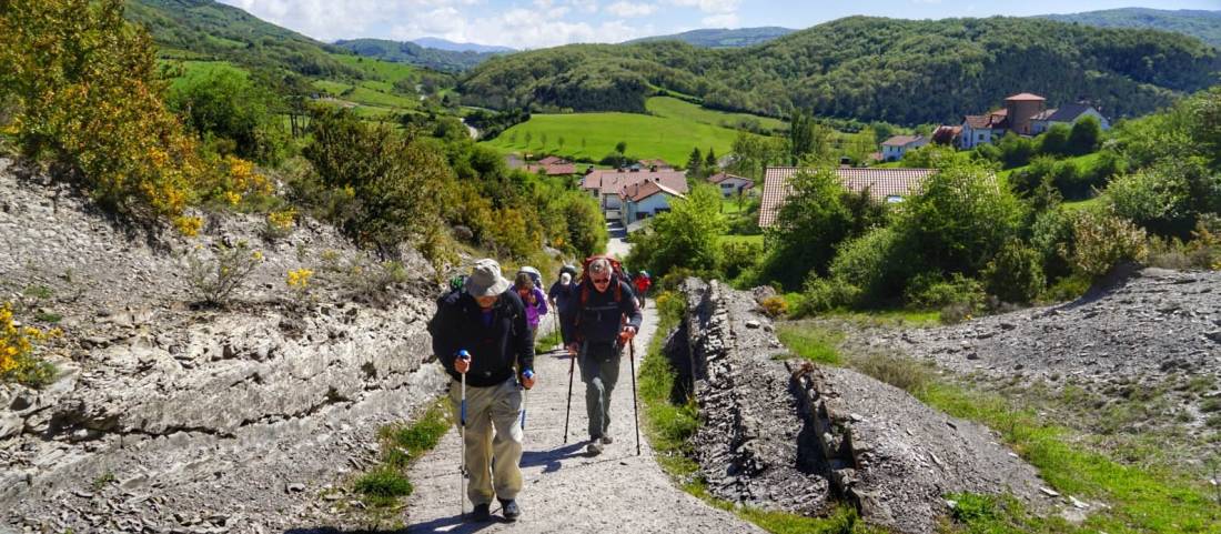 Pilgrims crossing the Pyrenees near Roncesvalles |  <i>Gesine Cheung</i>