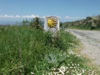 Camino signpost on the Way |  <i>Dana Garofani</i>