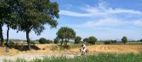 Cycling in the  Baix Empordà region of Catalonia | Kate Baker