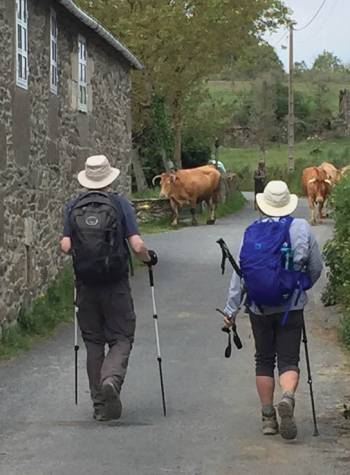 Pilgrims walking the busy streets on the Spanish Camino |  <i>Cathy MacAulay-Spencer</i>