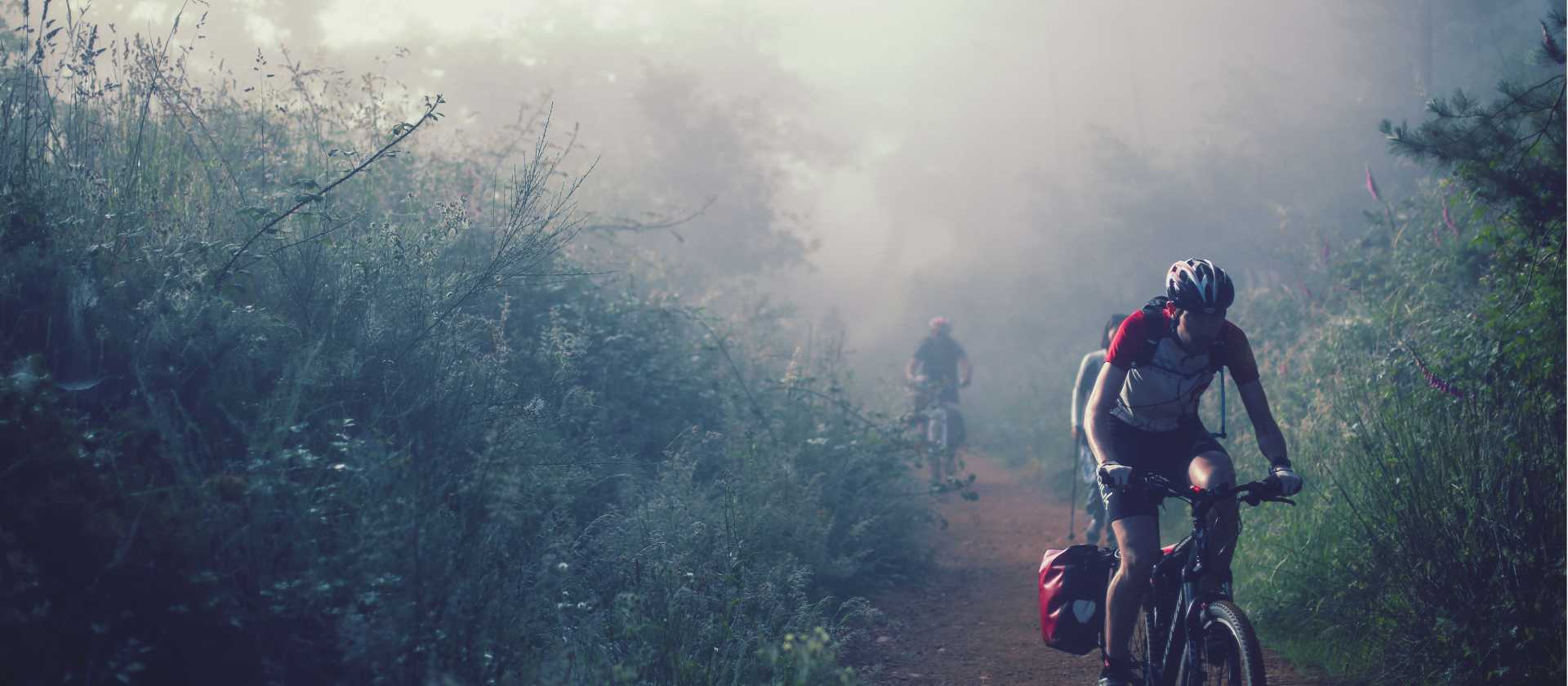 Cycling through the morning mist along the Camino | @timcharody