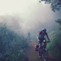 Cycling through the morning mist along the Camino | @timcharody