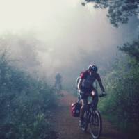 Cycling through the morning mist along the Camino | @timcharody