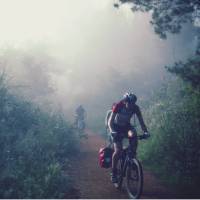 Cycling through the morning mist along the Camino | @timcharody