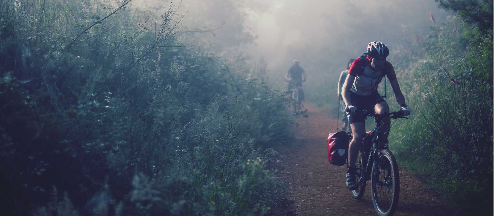 Cycling through the morning mist along the Camino | @timcharody