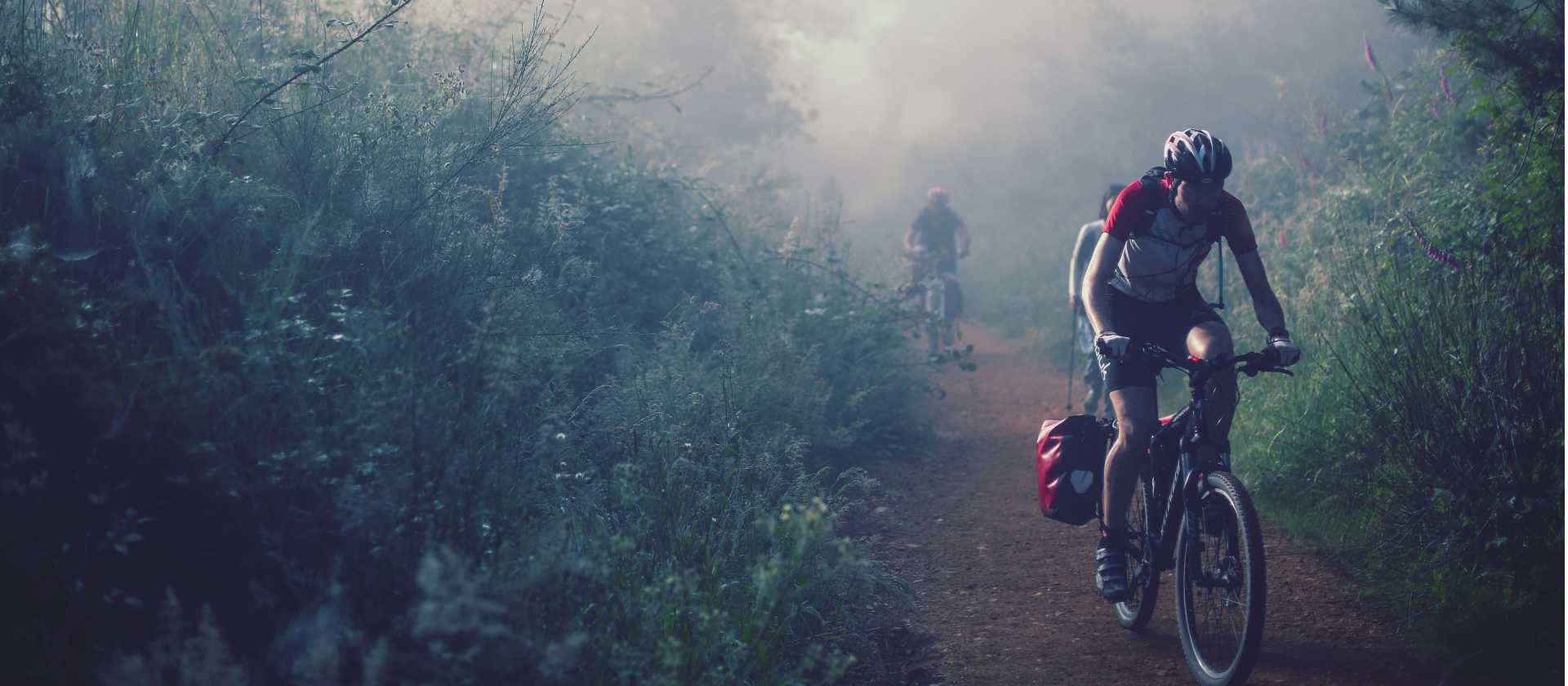 Cycling through the morning mist along the Camino | @timcharody