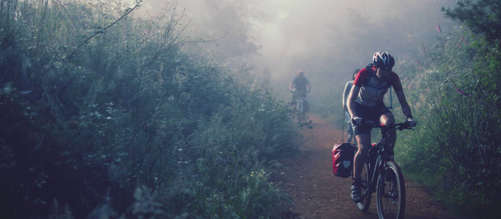 Cycling through the morning mist along the Camino | @timcharody