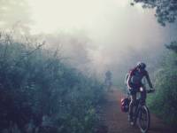 Cycling through the morning mist along the Camino |  <i>@timcharody</i>