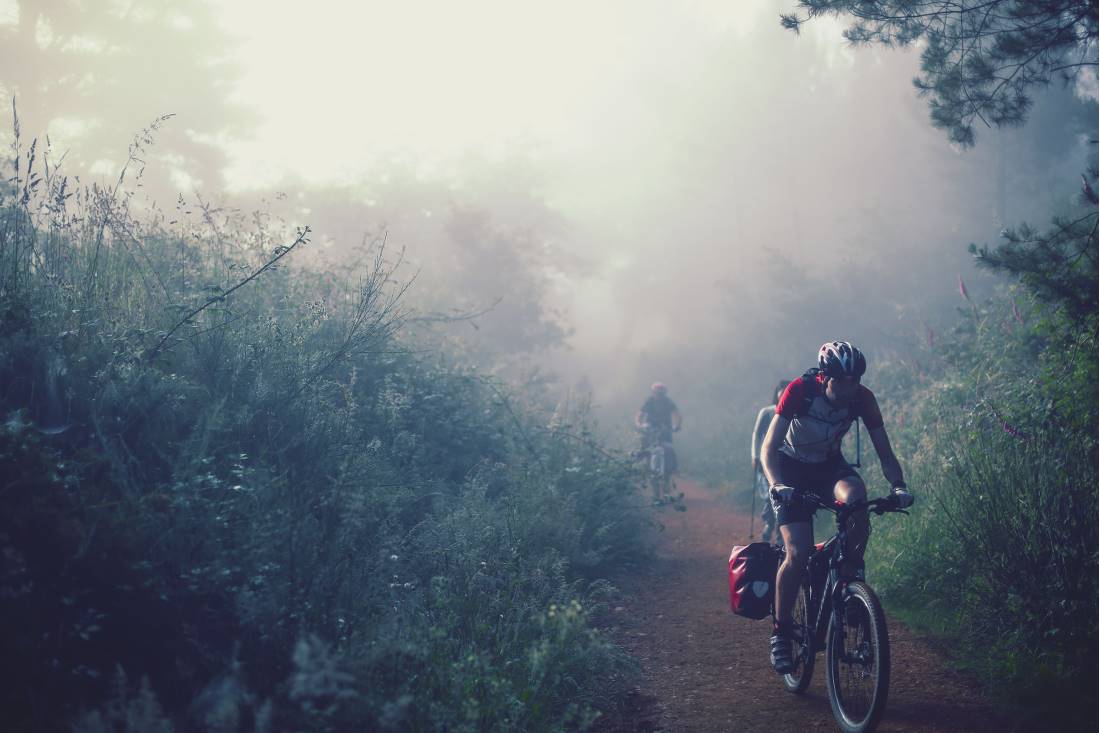 Cycling through the morning mist along the Camino |  <i>@timcharody</i>