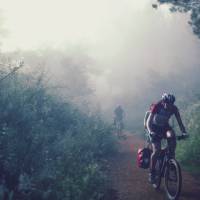 Cycling through the morning mist along the Camino | @timcharody