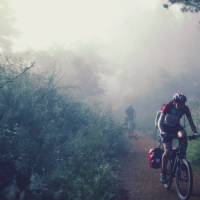 Cycling through the morning mist along the Camino | @timcharody