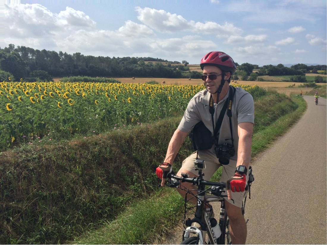 Cyclist passing sunflowers on a rural road on a self guided cycle trip in Catalonia |  <i>Kate Baker</i>