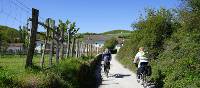 Cyclists on the Camino Frances | Gesine Cheung