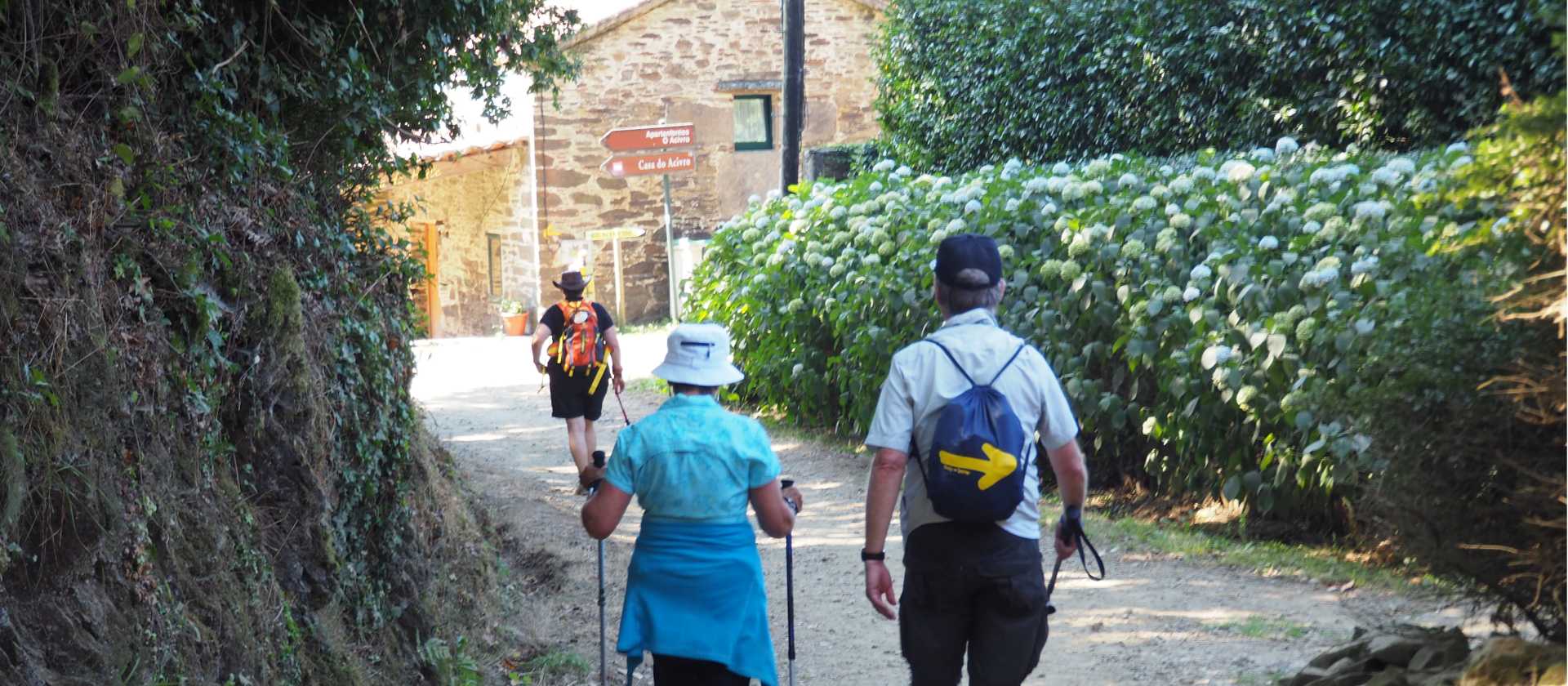 Following the Camino de Santiago