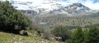 Group walking in the Alpujarras | Erin Williams