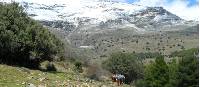 Group walking in the Alpujarras |  <i>Erin Williams</i>