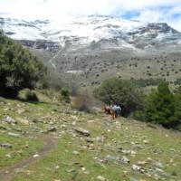 Group walking in the Alpujarras | Erin Williams