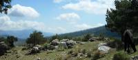 Horses grazing near the trail in the Alpujarras | Erin Williams