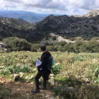 Walk through wild countryside in Andalucia near Ronda | Allie Peden