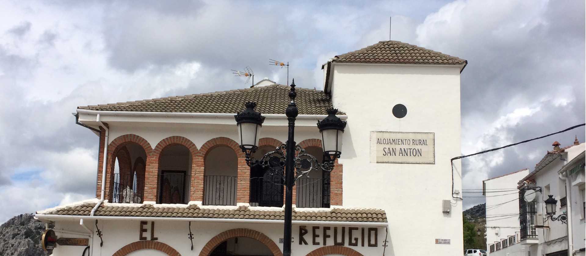 Refugio | Allie Peden