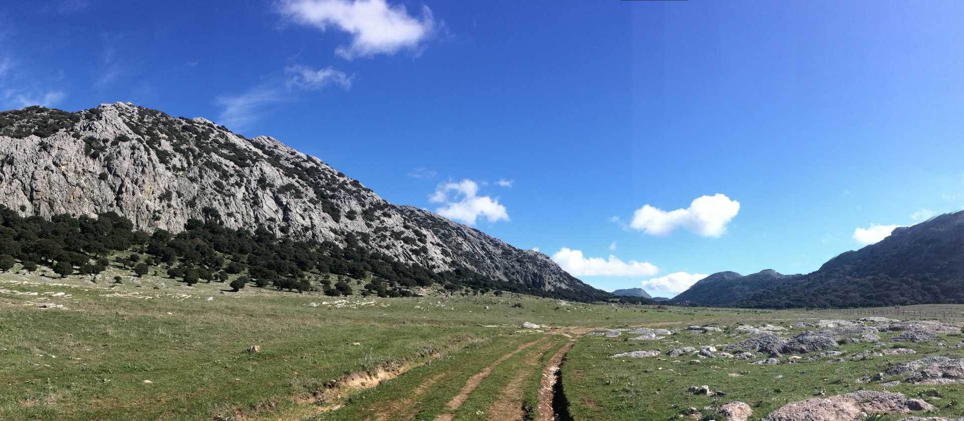 Landscapes near Grazalema | Allie Peden