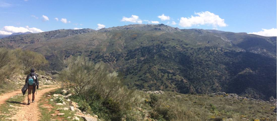 Exploring the mountains near Ronda on foot is the ideal way to soak in the wild landscapes |  <i>Allie Peden</i>
