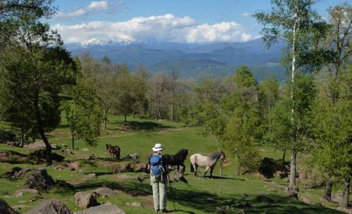 Trekking in the north of Spain near Joanetes&#160;-&#160;<i>Photo:&#160;Frank Hofmann</i>