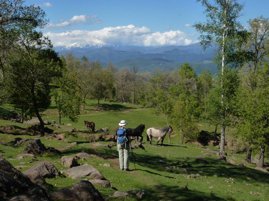 Trekking in the north of Spain near Joanetes |  <i>Frank Hofmann</i>